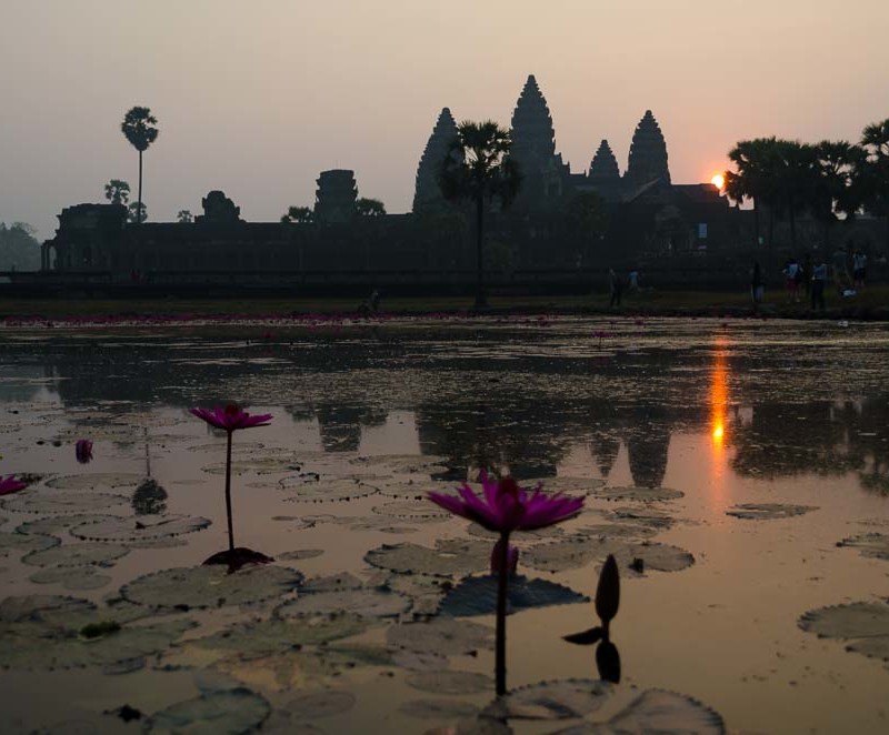 Seerosenteich in Angkor Wat